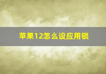 苹果12怎么设应用锁