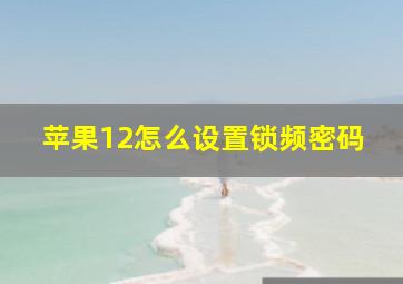 苹果12怎么设置锁频密码