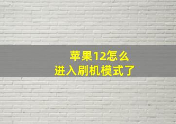 苹果12怎么进入刷机模式了