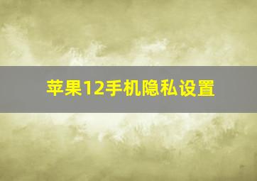 苹果12手机隐私设置