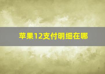 苹果12支付明细在哪