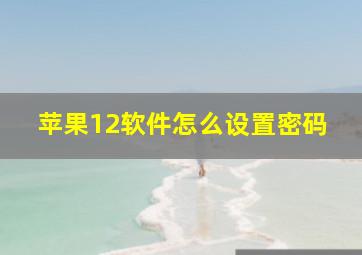 苹果12软件怎么设置密码