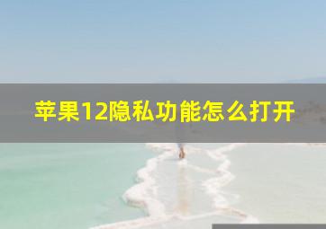 苹果12隐私功能怎么打开