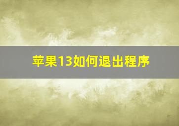 苹果13如何退出程序