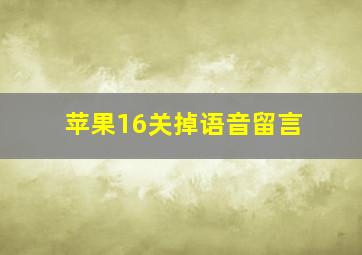 苹果16关掉语音留言