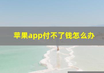 苹果app付不了钱怎么办