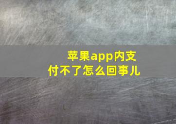 苹果app内支付不了怎么回事儿