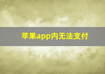 苹果app内无法支付