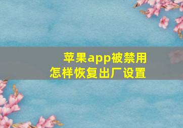 苹果app被禁用怎样恢复出厂设置