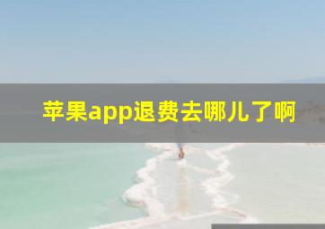 苹果app退费去哪儿了啊