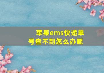 苹果ems快递单号查不到怎么办呢