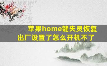 苹果home键失灵恢复出厂设置了怎么开机不了