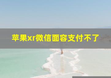 苹果xr微信面容支付不了