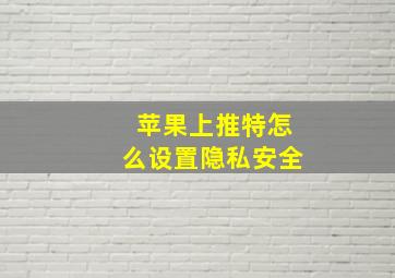 苹果上推特怎么设置隐私安全