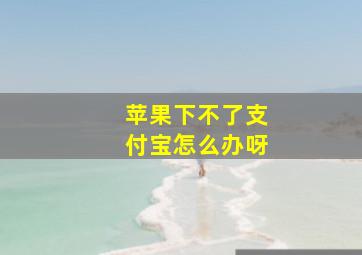 苹果下不了支付宝怎么办呀