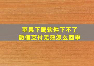 苹果下载软件下不了微信支付无效怎么回事