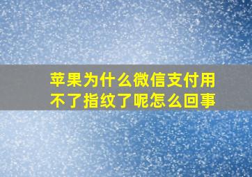 苹果为什么微信支付用不了指纹了呢怎么回事