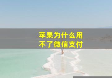 苹果为什么用不了微信支付