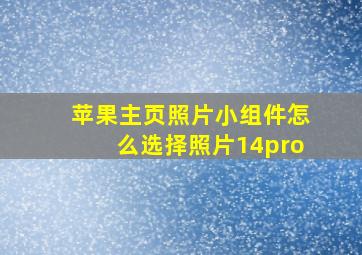 苹果主页照片小组件怎么选择照片14pro