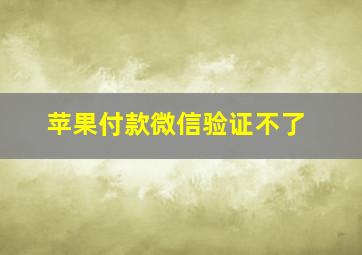 苹果付款微信验证不了