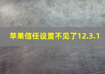 苹果信任设置不见了12.3.1