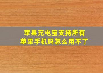 苹果充电宝支持所有苹果手机吗怎么用不了