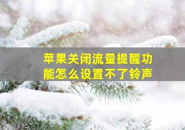 苹果关闭流量提醒功能怎么设置不了铃声