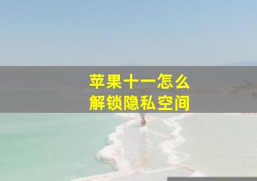 苹果十一怎么解锁隐私空间