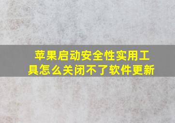 苹果启动安全性实用工具怎么关闭不了软件更新