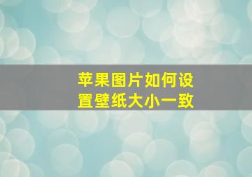 苹果图片如何设置壁纸大小一致