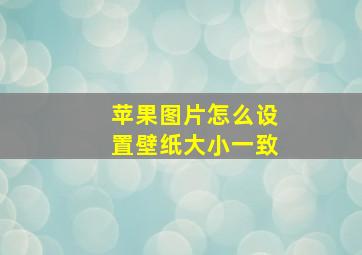 苹果图片怎么设置壁纸大小一致