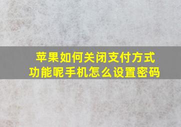 苹果如何关闭支付方式功能呢手机怎么设置密码