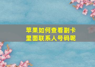 苹果如何查看副卡里面联系人号码呢