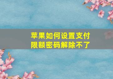 苹果如何设置支付限额密码解除不了