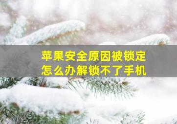 苹果安全原因被锁定怎么办解锁不了手机