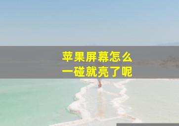 苹果屏幕怎么一碰就亮了呢