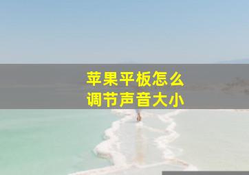 苹果平板怎么调节声音大小