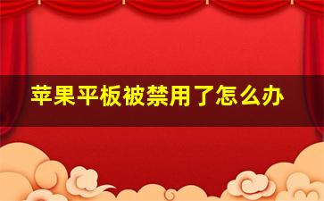 苹果平板被禁用了怎么办