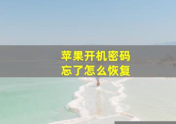 苹果开机密码忘了怎么恢复