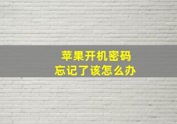 苹果开机密码忘记了该怎么办