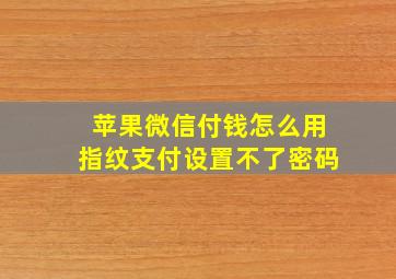 苹果微信付钱怎么用指纹支付设置不了密码