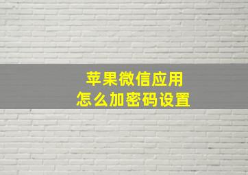 苹果微信应用怎么加密码设置