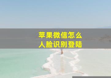 苹果微信怎么人脸识别登陆