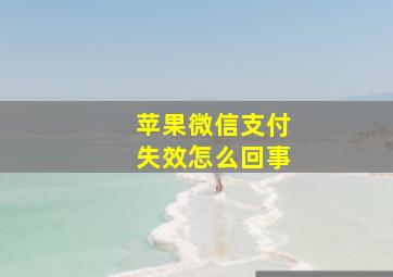 苹果微信支付失效怎么回事