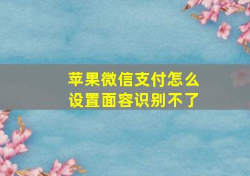 苹果微信支付怎么设置面容识别不了