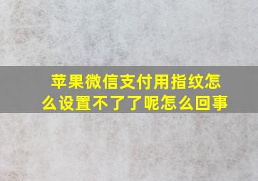 苹果微信支付用指纹怎么设置不了了呢怎么回事