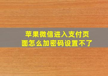 苹果微信进入支付页面怎么加密码设置不了