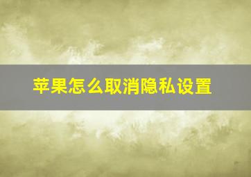 苹果怎么取消隐私设置