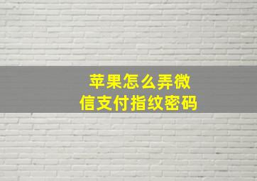 苹果怎么弄微信支付指纹密码