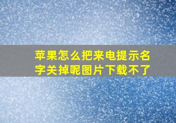 苹果怎么把来电提示名字关掉呢图片下载不了